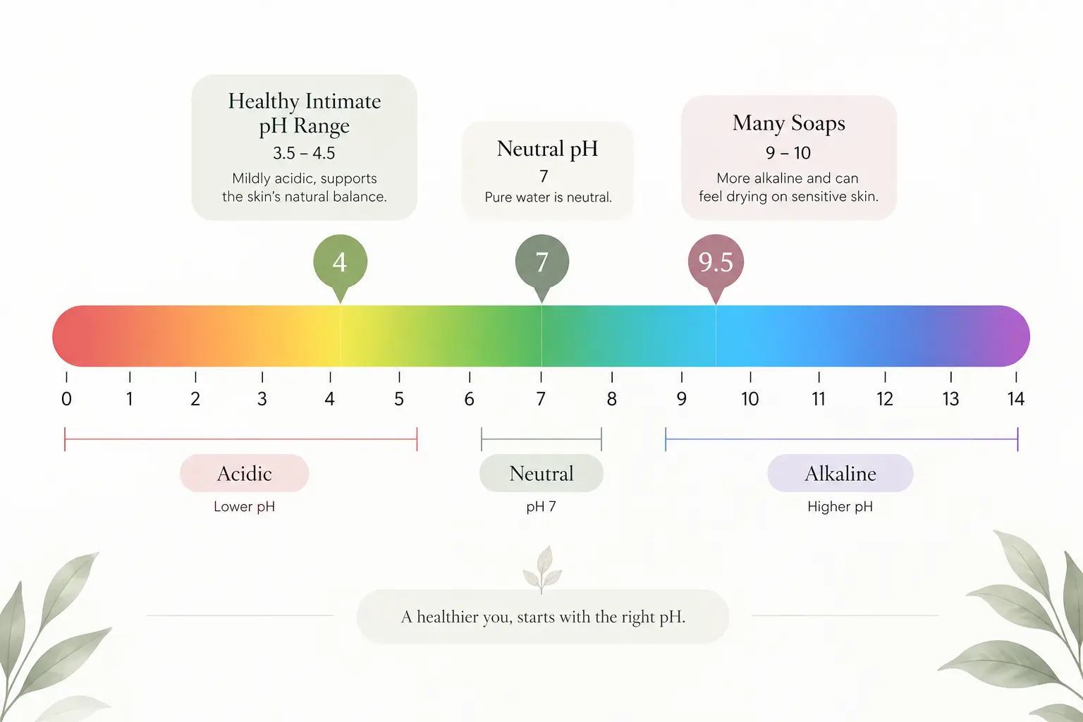 How to Choose an Intimate Wash in Pakistan: pH, Ingredients & Safe Use Myji ph scale intimate wash.webp Myji